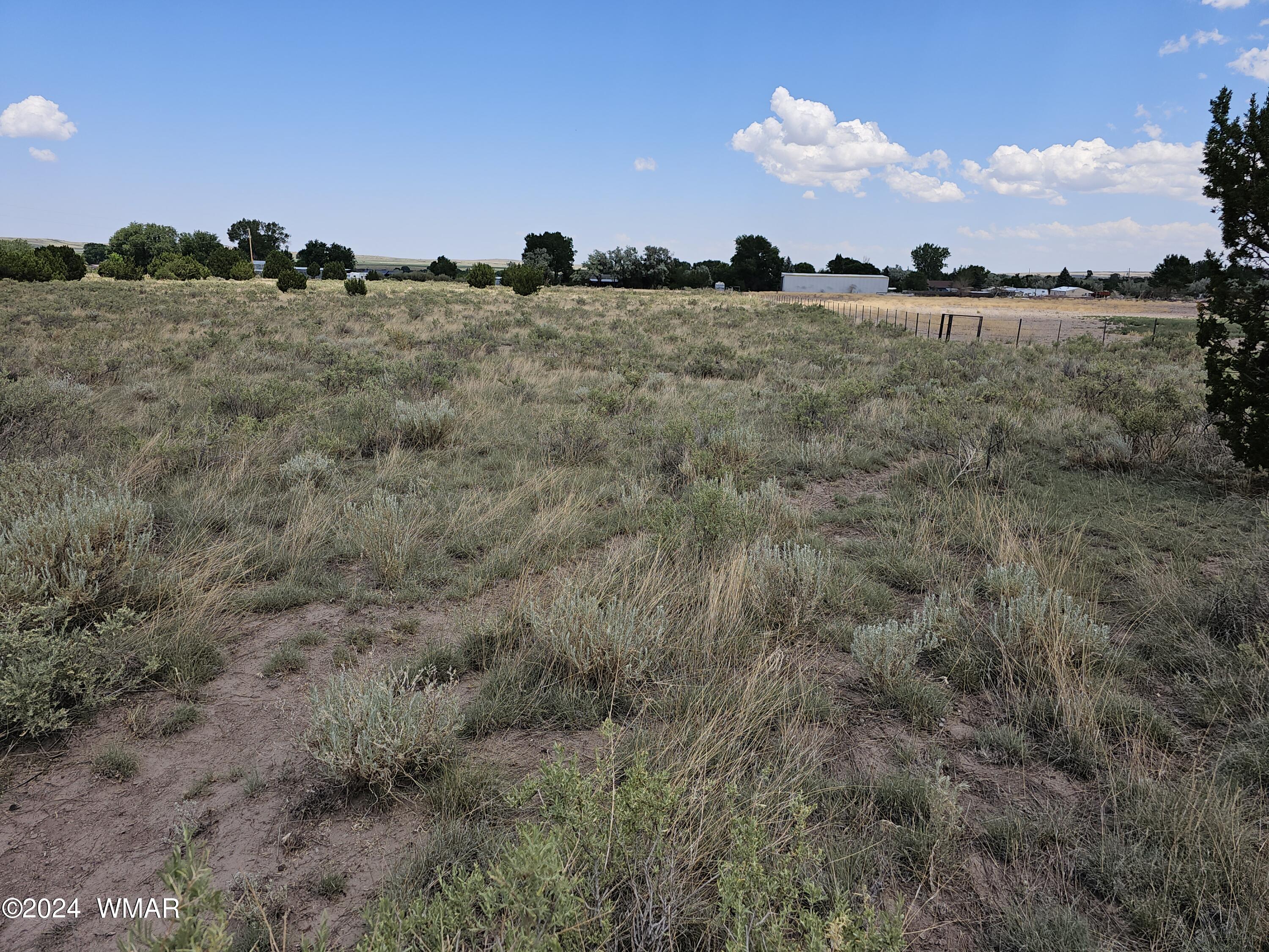 Tbd School Bus Road Eagar, AZ 85925 - Photo 15 of 20 20240715_115011