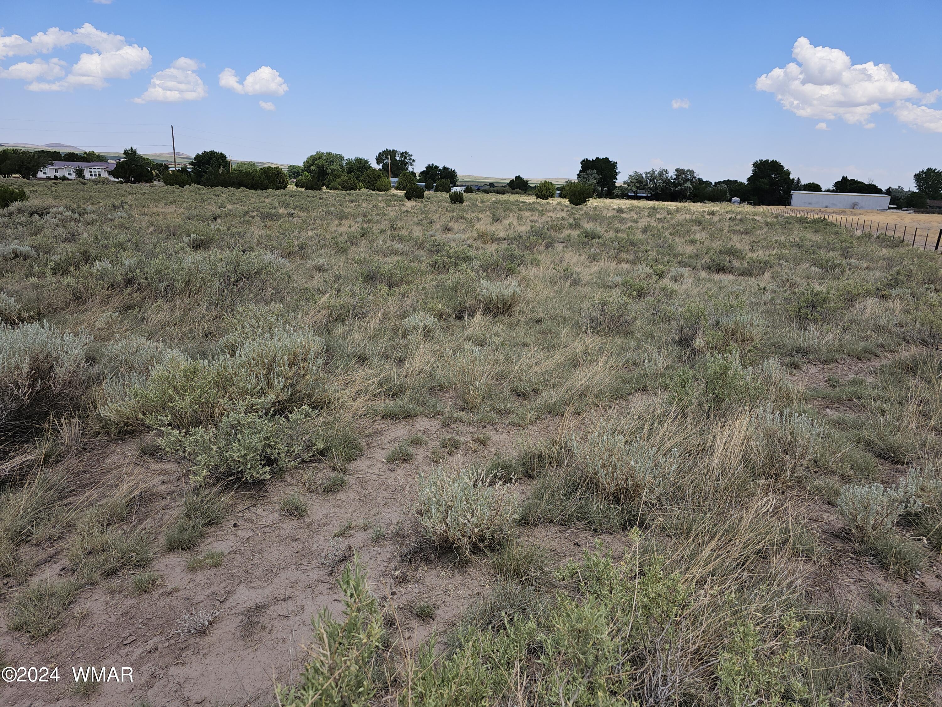 Tbd School Bus Road Eagar, AZ 85925 - Photo 16 of 20 20240715_115017