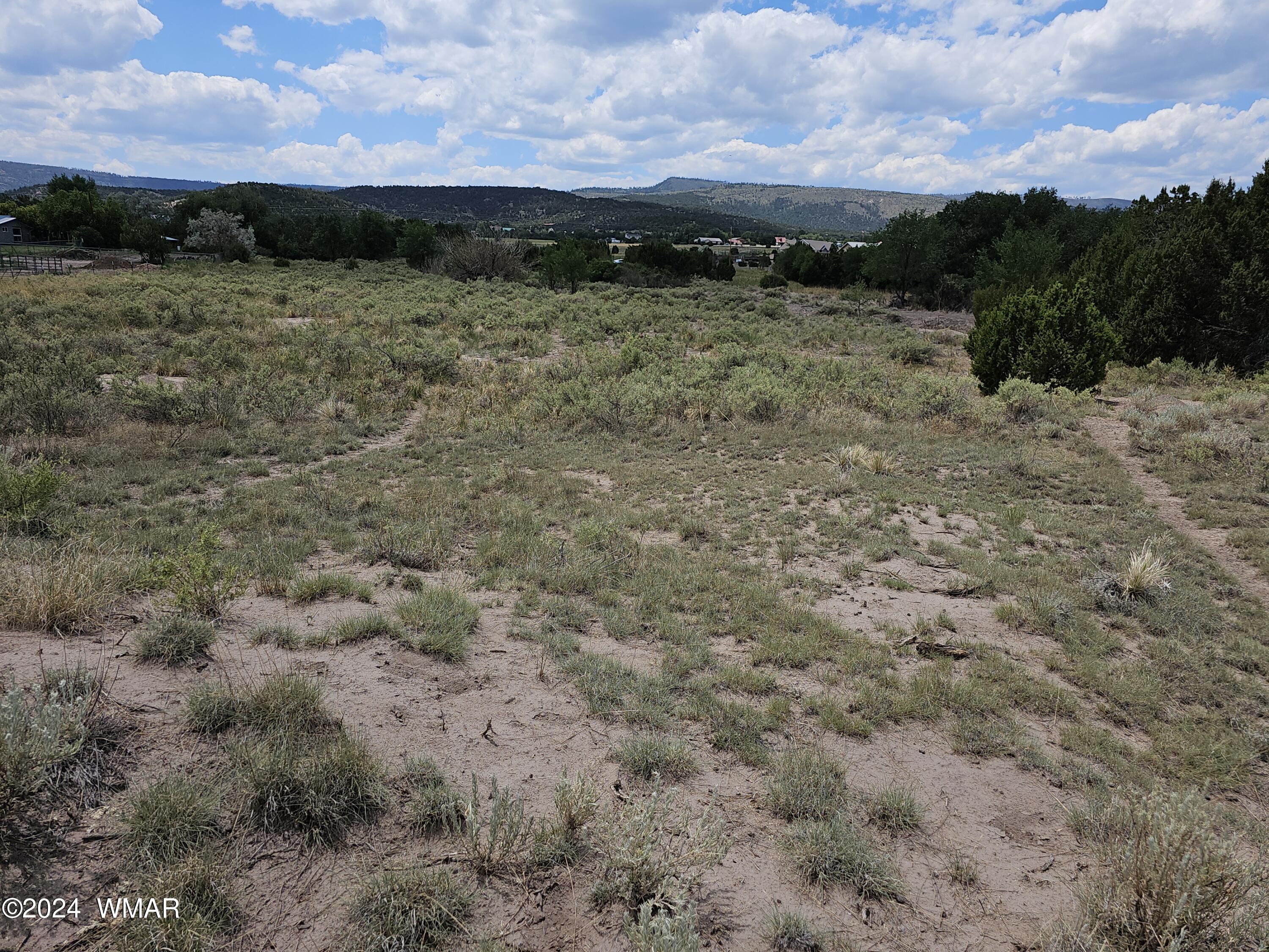 Tbd School Bus Road Eagar, AZ 85925 - Photo 17 of 20 20240715_115023