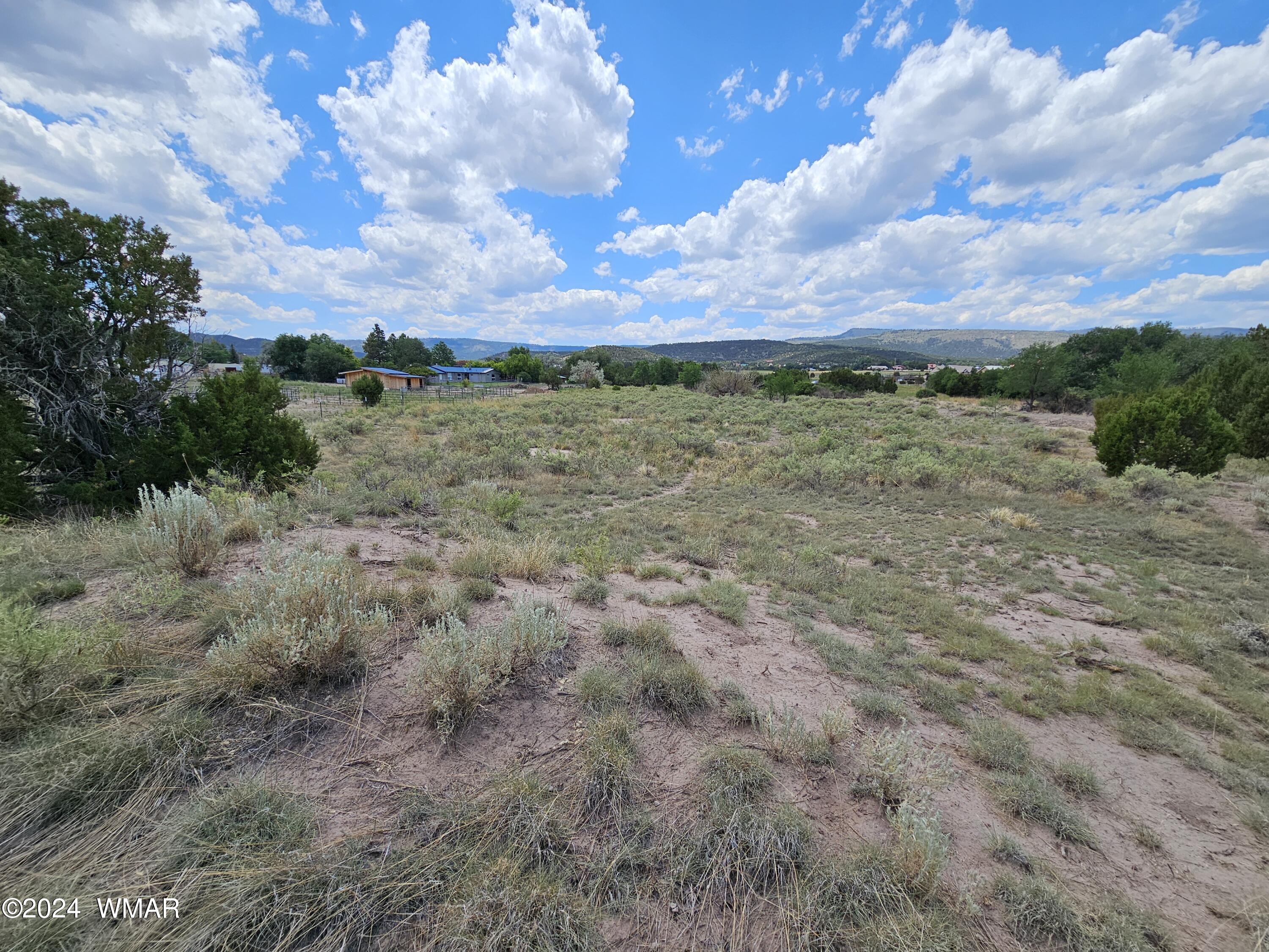 Tbd School Bus Road Eagar, AZ 85925 - Photo 18 of 20 20240715_115032