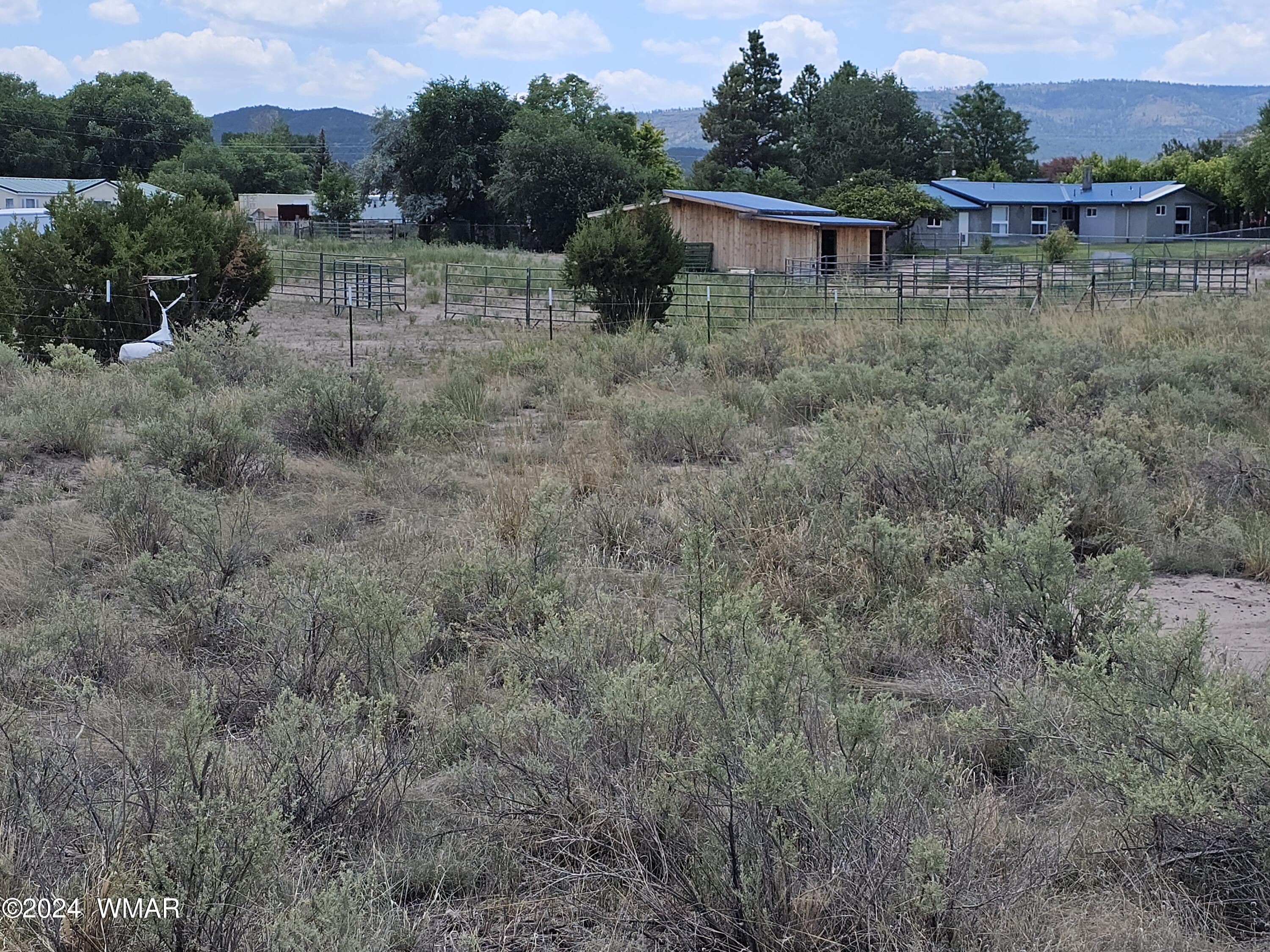 Tbd School Bus Road Eagar, AZ 85925 - Photo 19 of 20 20240715_115139
