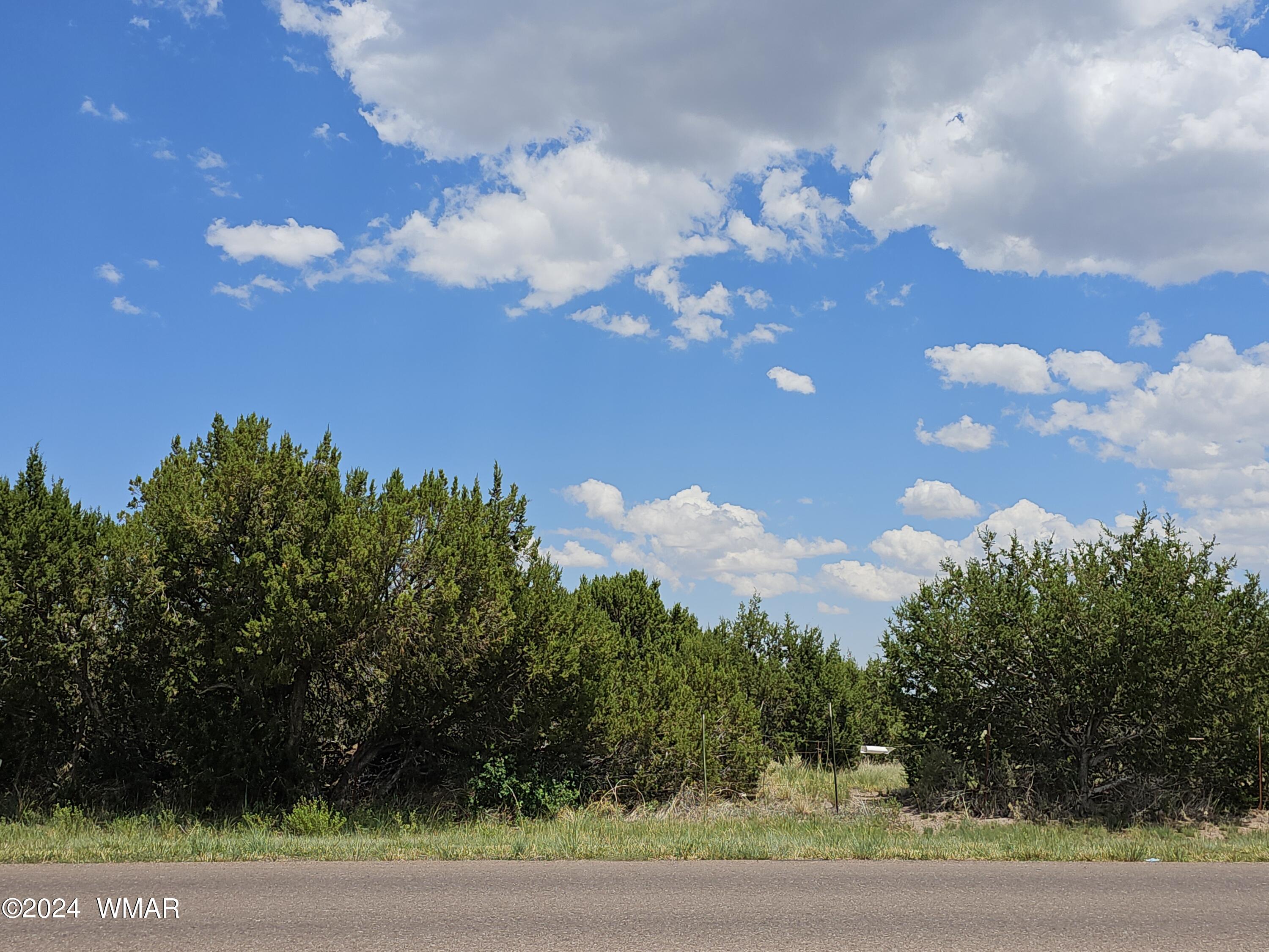 Tbd School Bus Road Eagar, AZ 85925 - Photo 20 of 20 20240715_115555