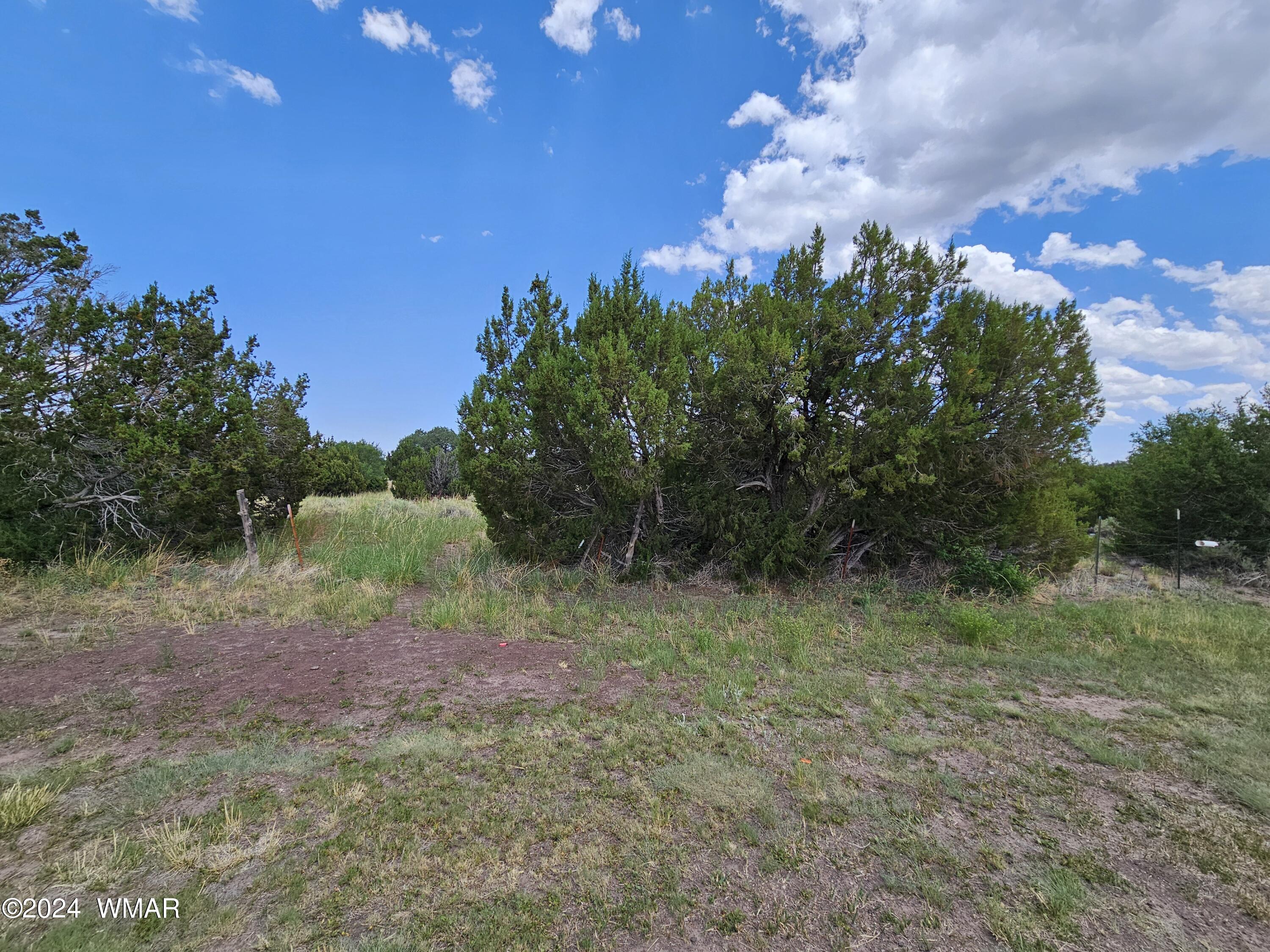 Tbd School Bus Road Eagar, AZ 85925 - Photo 2 of 20 20240715_114332