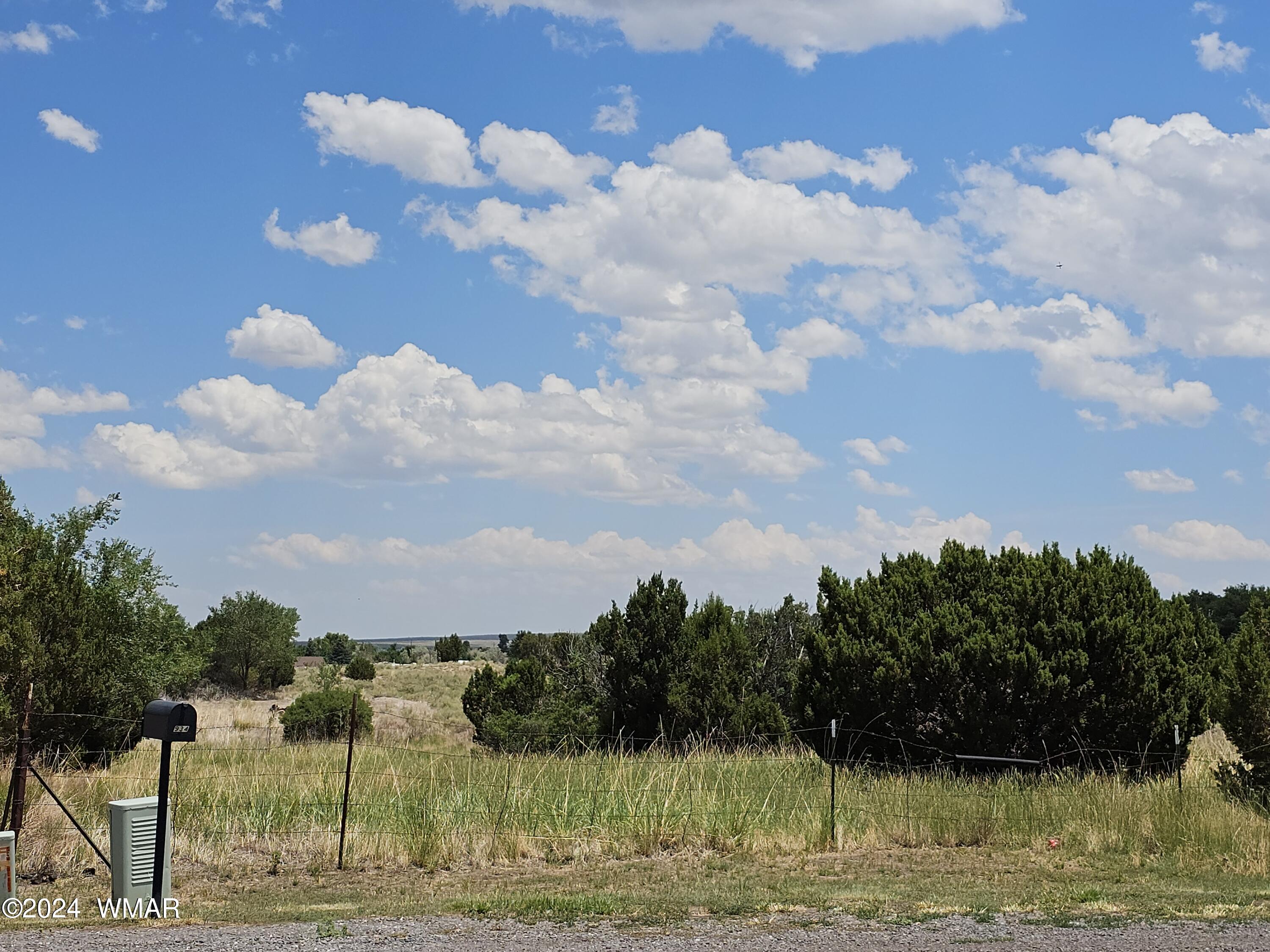 Tbd School Bus Road Eagar, AZ 85925 - Photo 3 of 20 20240715_115534