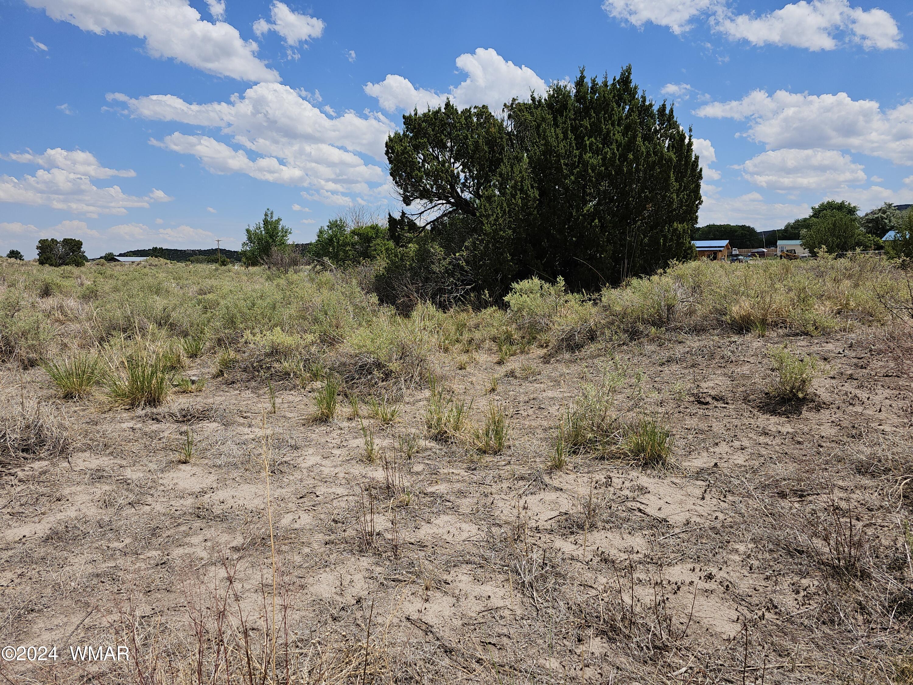 Tbd School Bus Road Eagar, AZ 85925 - Photo 4 of 20 20240715_114528