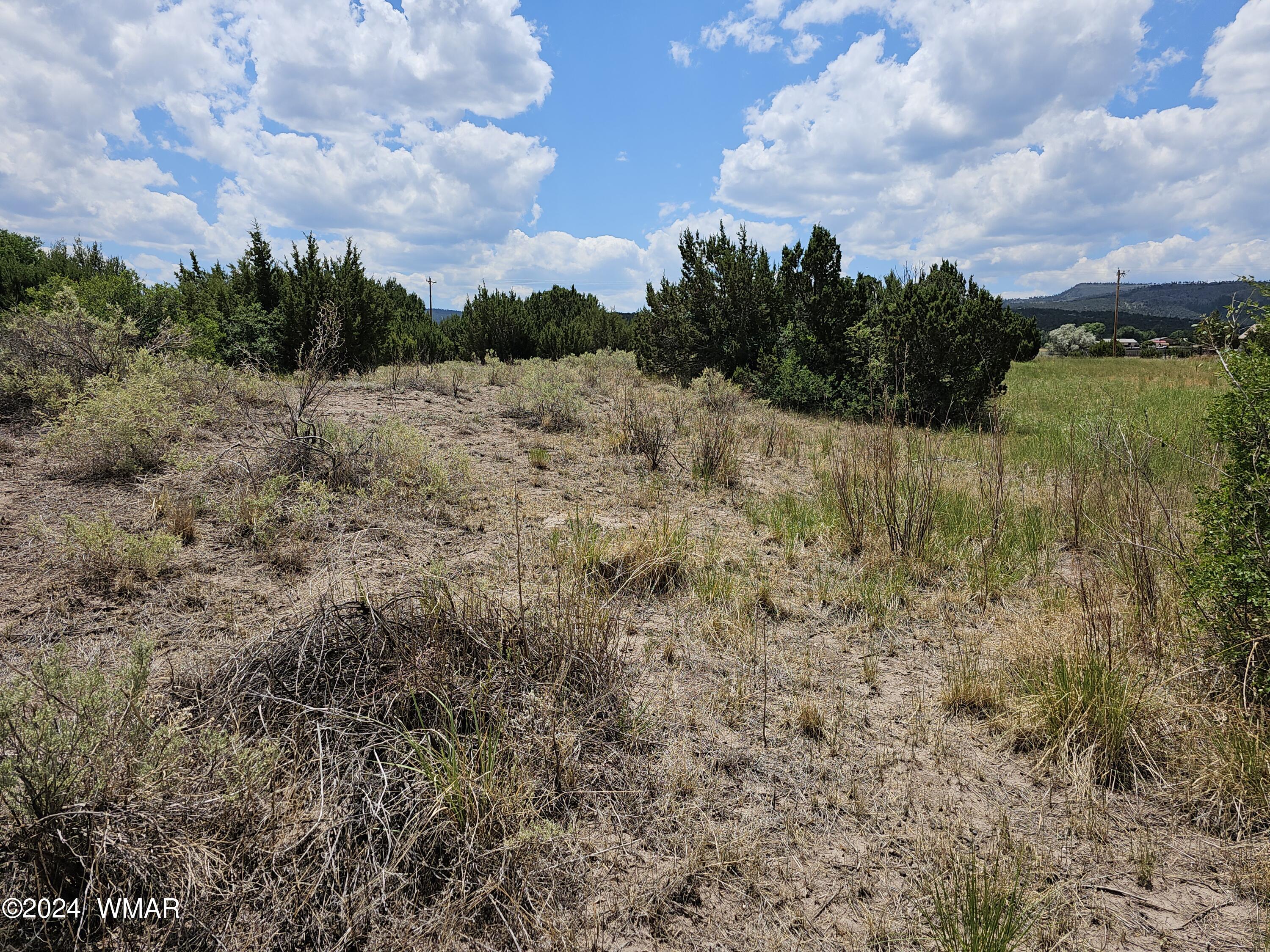 Tbd School Bus Road Eagar, AZ 85925 - Photo 5 of 20 20240715_114536