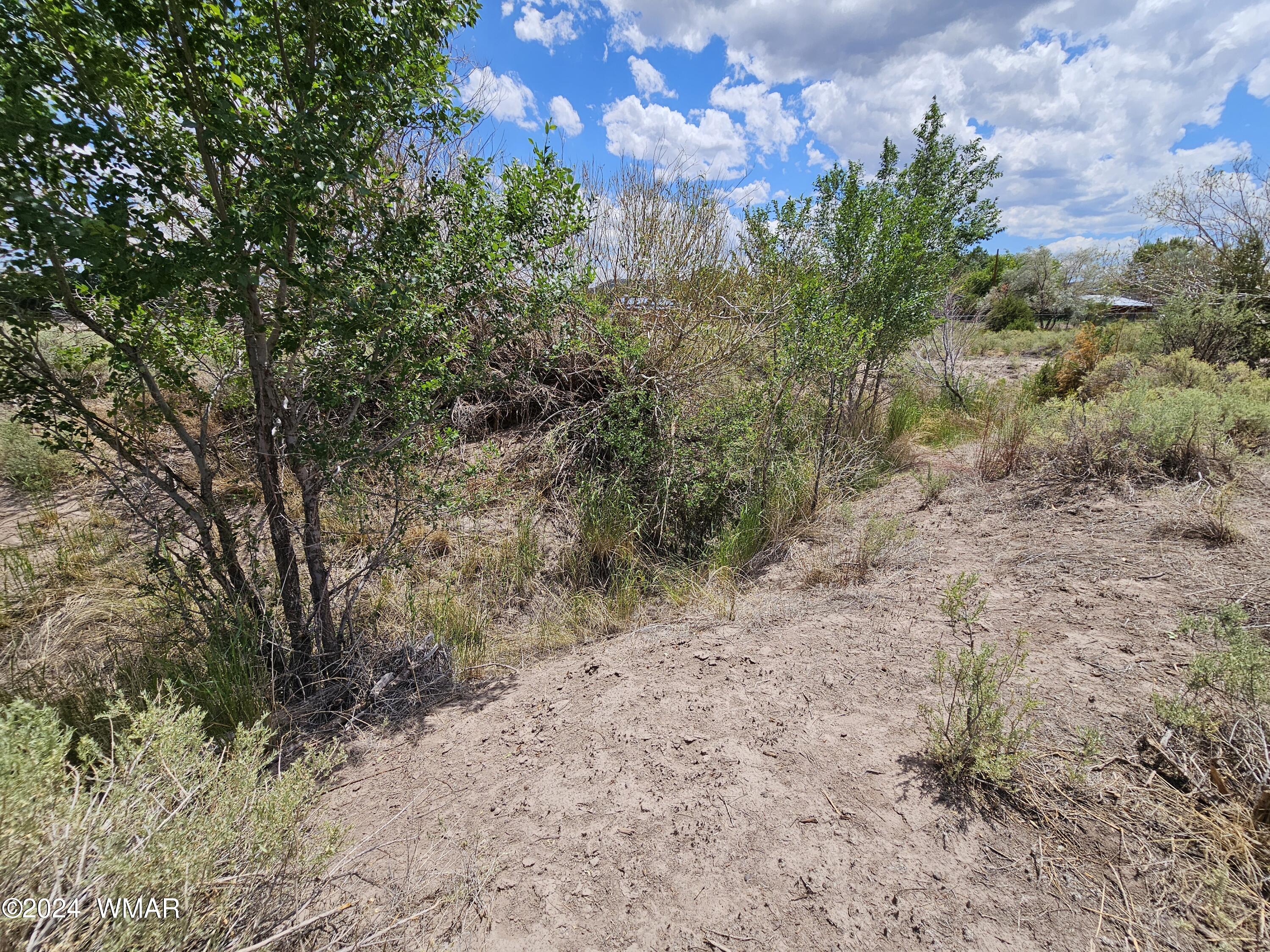 Tbd School Bus Road Eagar, AZ 85925 - Photo 7 of 20 20240715_114659