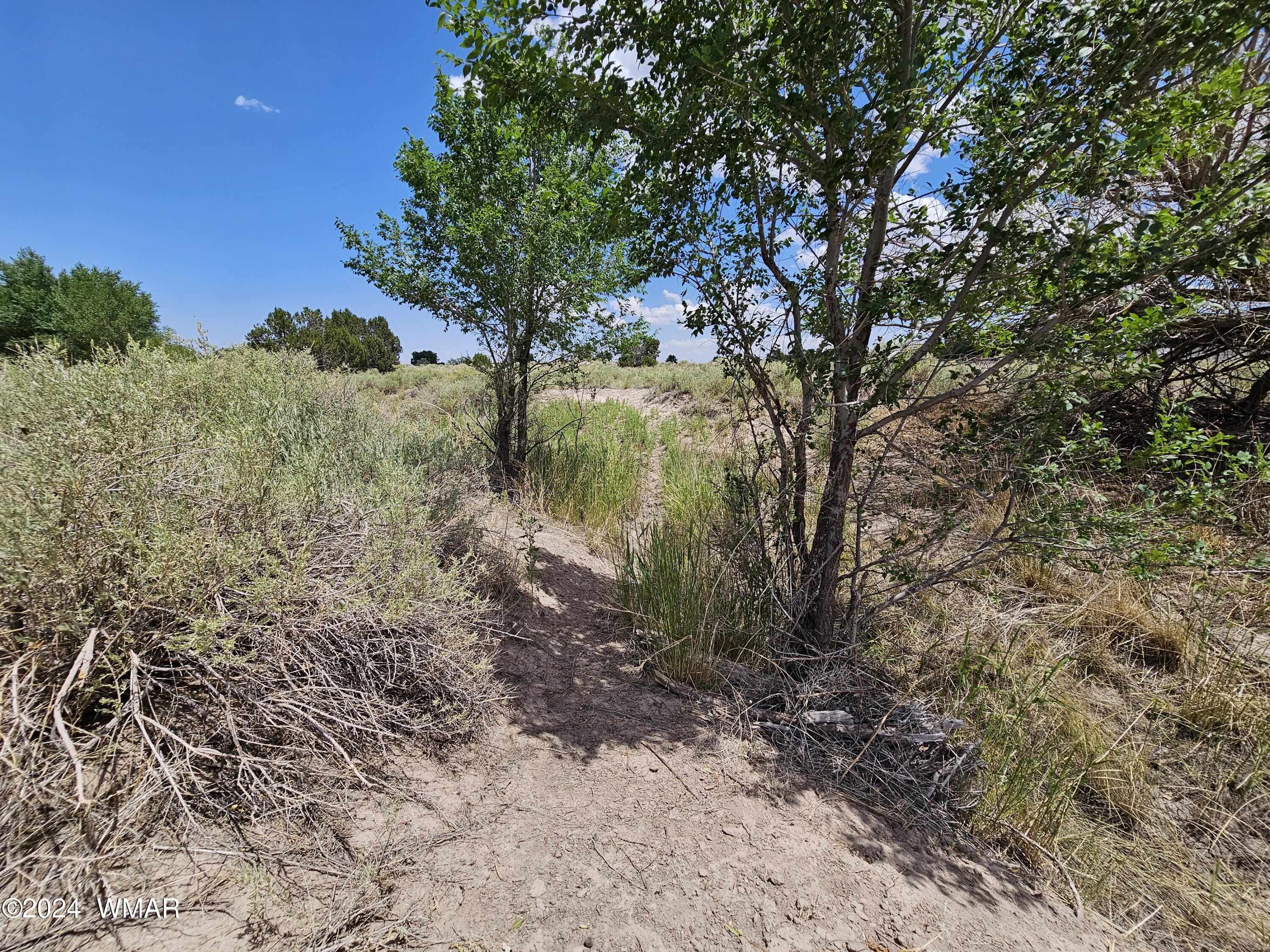 Tbd School Bus Road Eagar, AZ 85925 - Photo 8 of 20 20240715_114708
