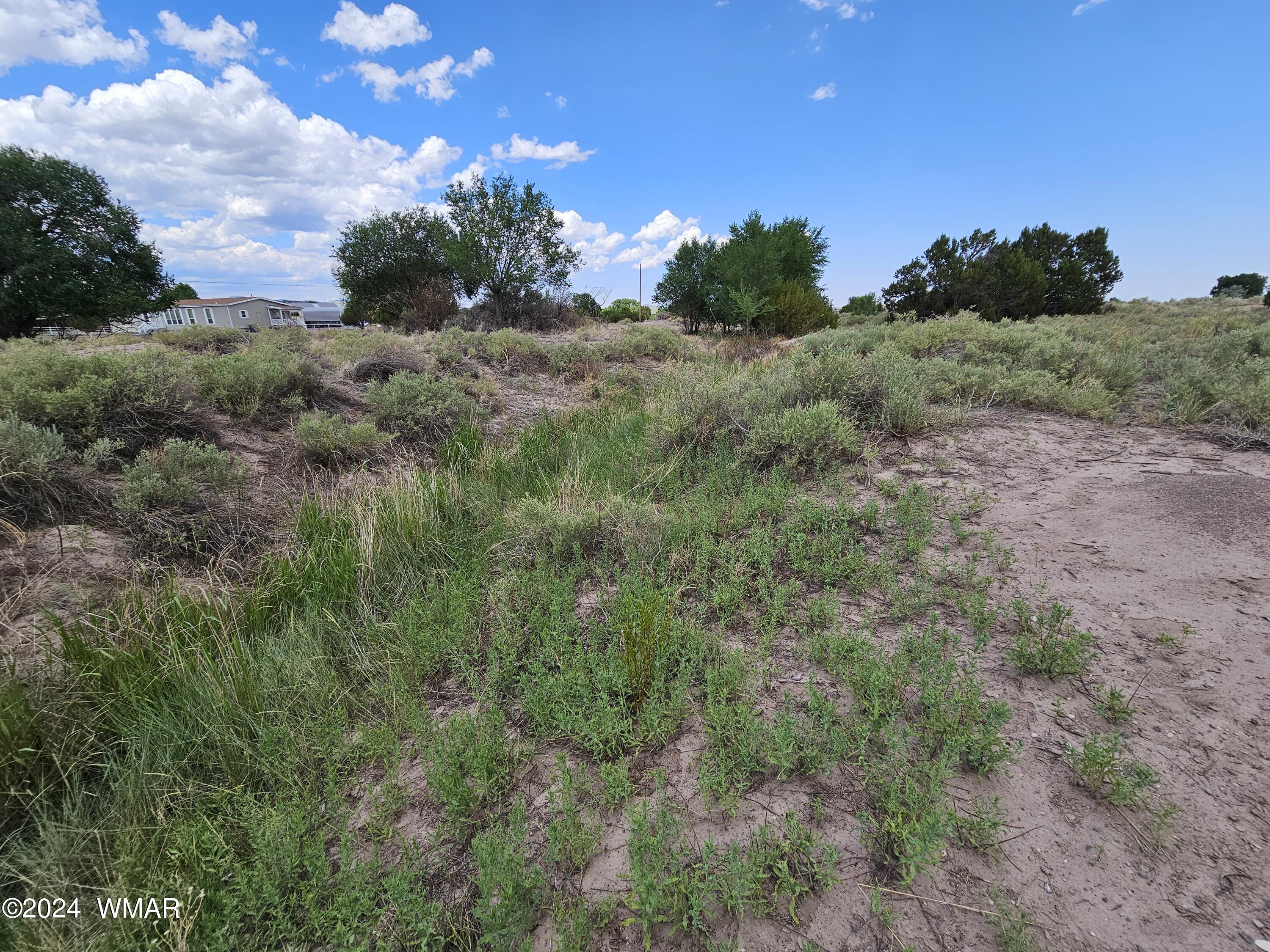 Tbd School Bus Road Eagar, AZ 85925 - Photo 9 of 20 20240715_114752