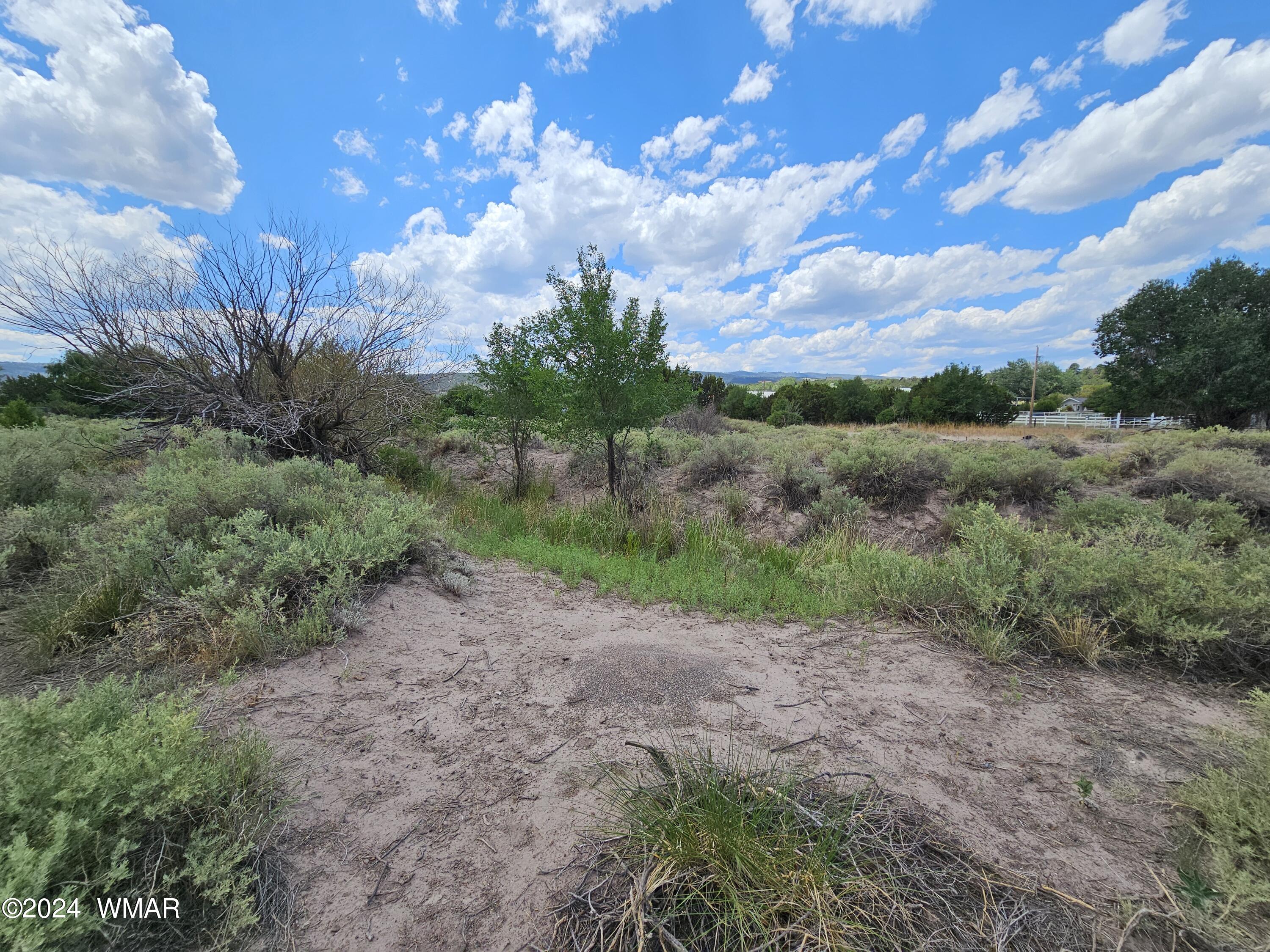 Tbd School Bus Road Eagar, AZ 85925 - Photo 10 of 20 20240715_114804