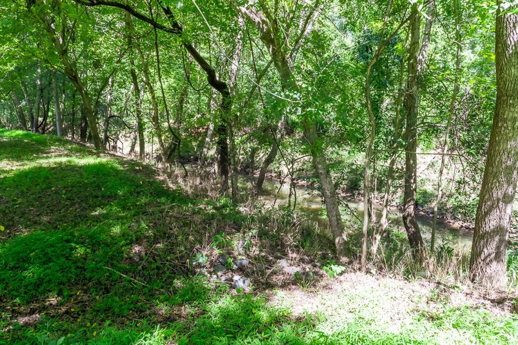 7300 Lancer Drive Charlotte, NC 28226 - Photo 46 of 48 a view of forest