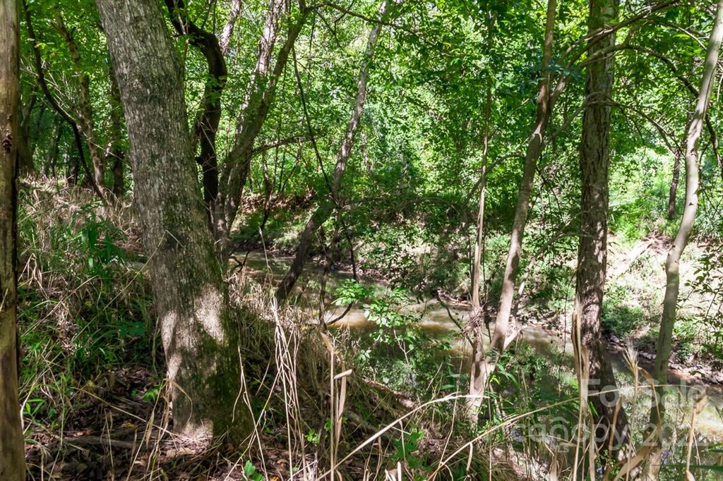 7300 Lancer Drive Charlotte, NC 28226 - Photo 47 of 48 a view of a yard