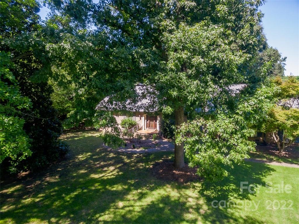 7300 Lancer Drive Charlotte, NC 28226 - Photo 8 of 48 a view of a tree in a backyard of a house
