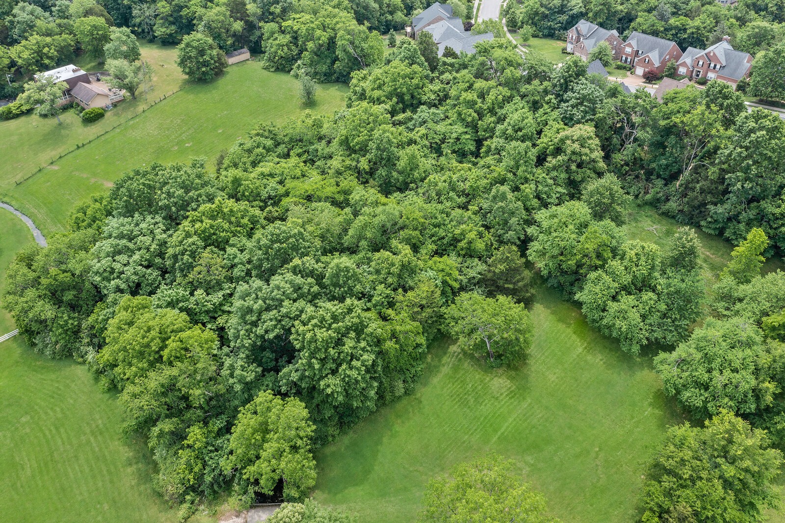 6729 Holt Road Nashville, TN 37211 - Photo 63 of 66 Gallery Image 63