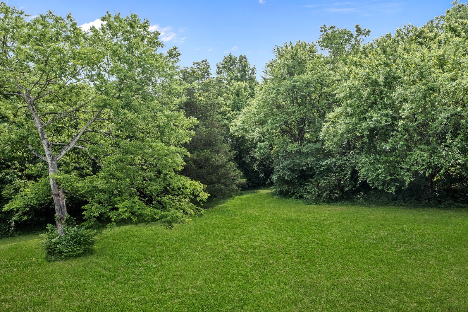 6729 Holt Road Nashville, TN 37211 - Photo 66 of 66 Gallery Image 66
