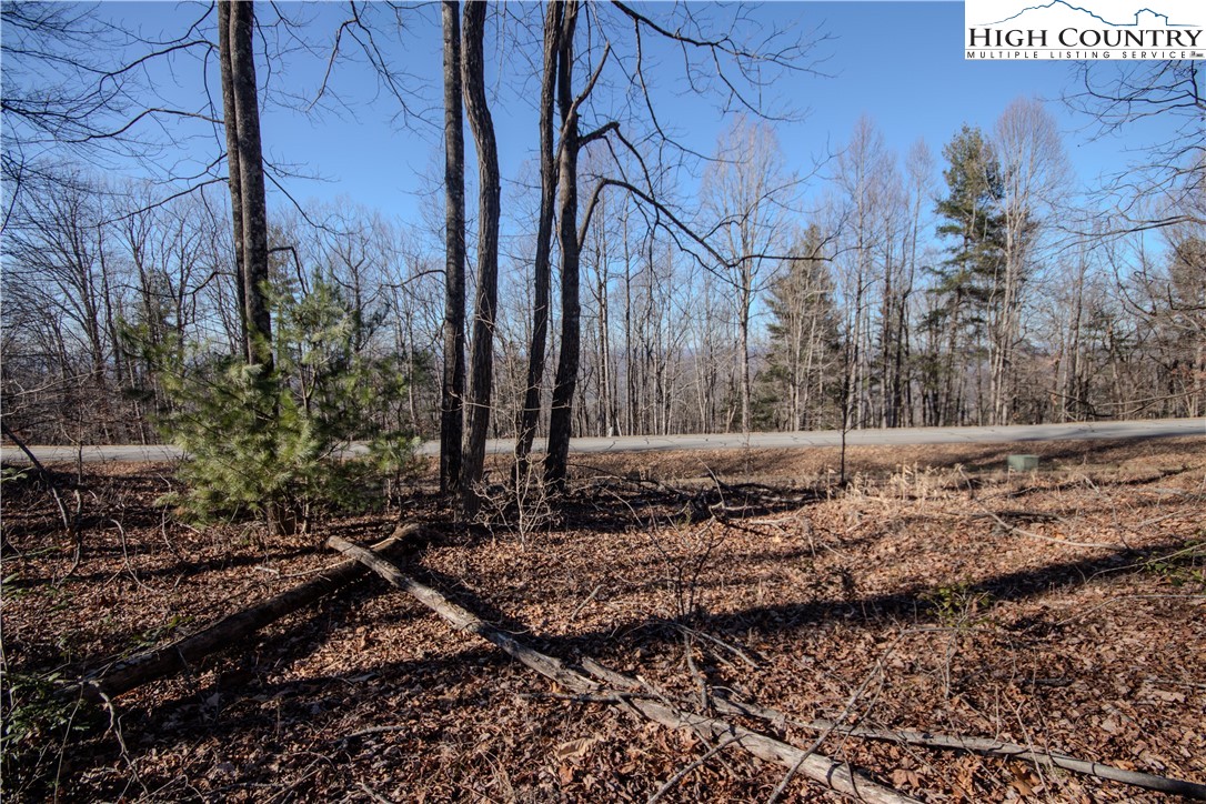 2211 Nighthawk Ridge Court Lenoir, NC 28645 - Photo 11 of 12