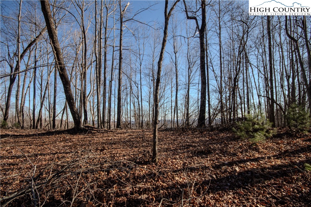 2211 Nighthawk Ridge Court Lenoir, NC 28645 - Photo 3 of 12