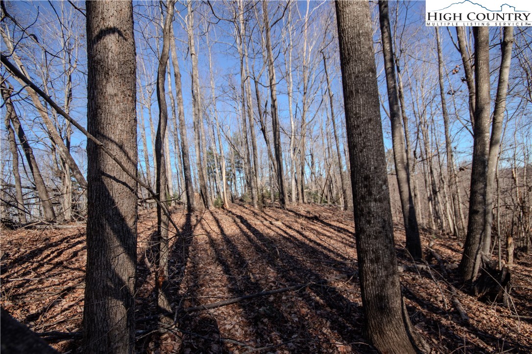 2211 Nighthawk Ridge Court Lenoir, NC 28645 - Photo 5 of 12