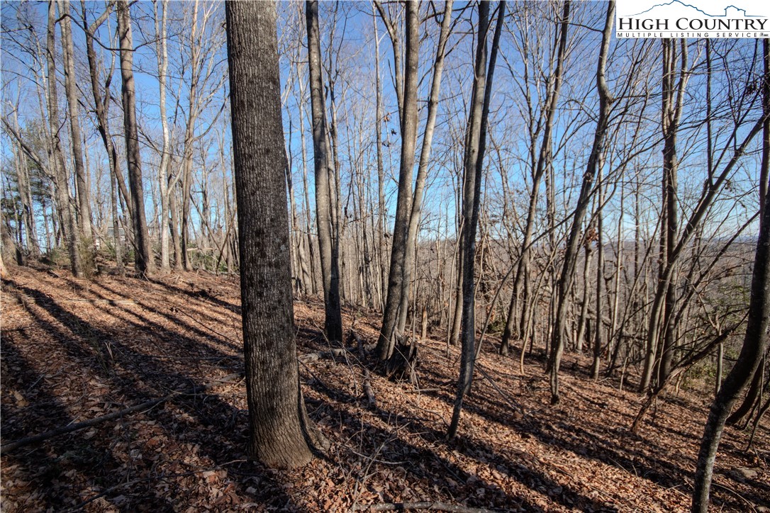 2211 Nighthawk Ridge Court Lenoir, NC 28645 - Photo 6 of 12