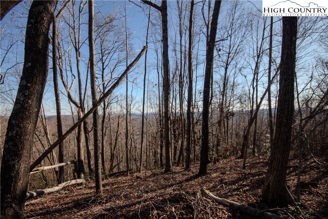 2211 Nighthawk Ridge Court Lenoir, NC 28645 - Photo 8 of 12