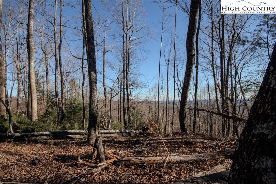 2211 Nighthawk Ridge Court Lenoir, NC 28645 - Photo 10 of 12