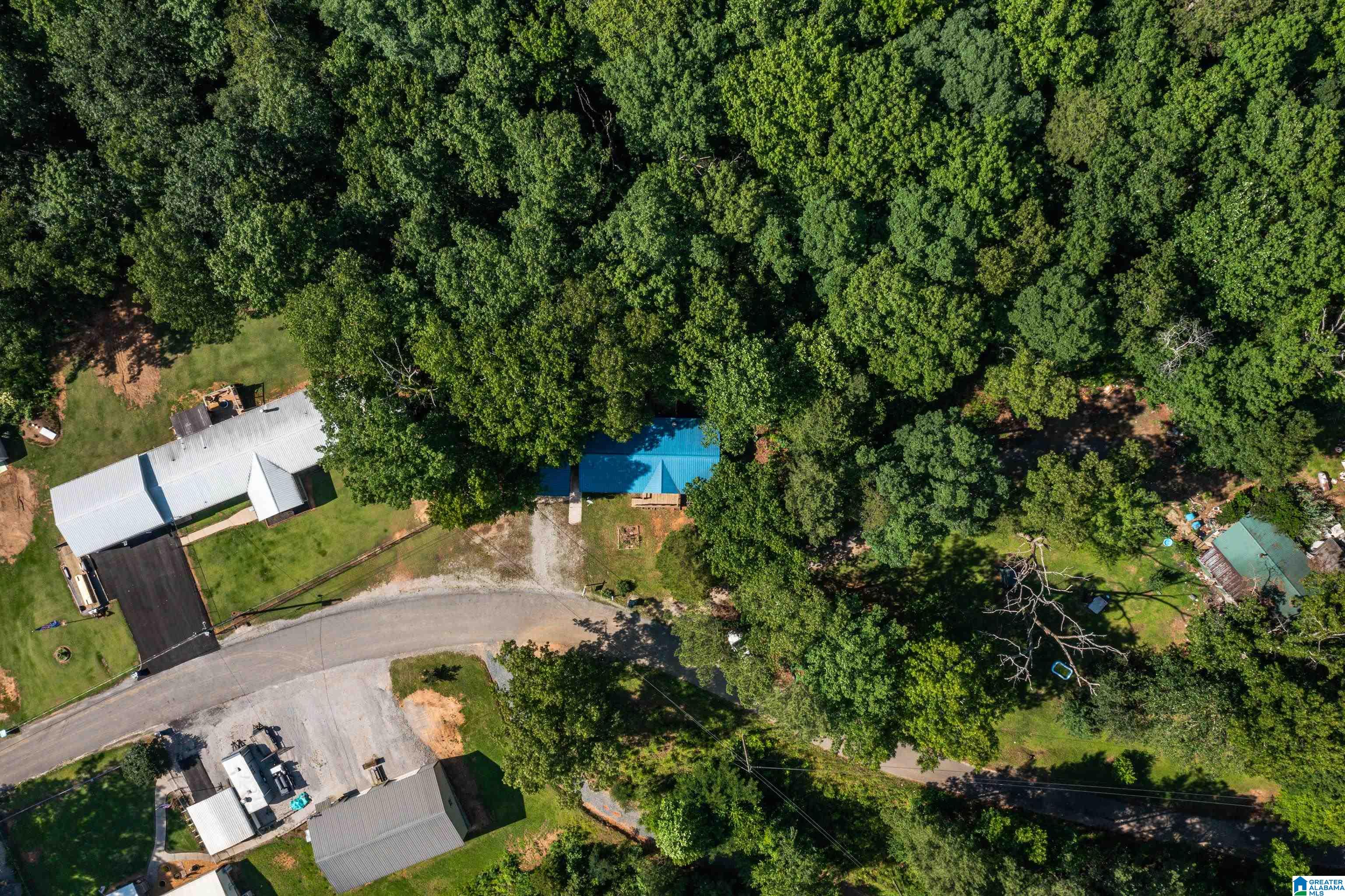 650 Davidson Drive Locust Fork, AL 35097 - Photo 53 of 55