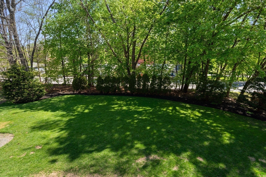 22 Crest Road Framingham, MA 01702 - Photo 35 of 38 a view of yard