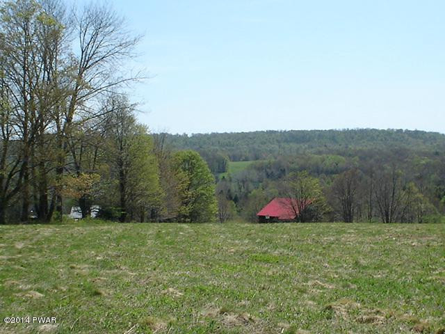 Moody Rd Lake Pleasant Mount, PA 18453 - Photo 10 of 12 Gallery Image 10