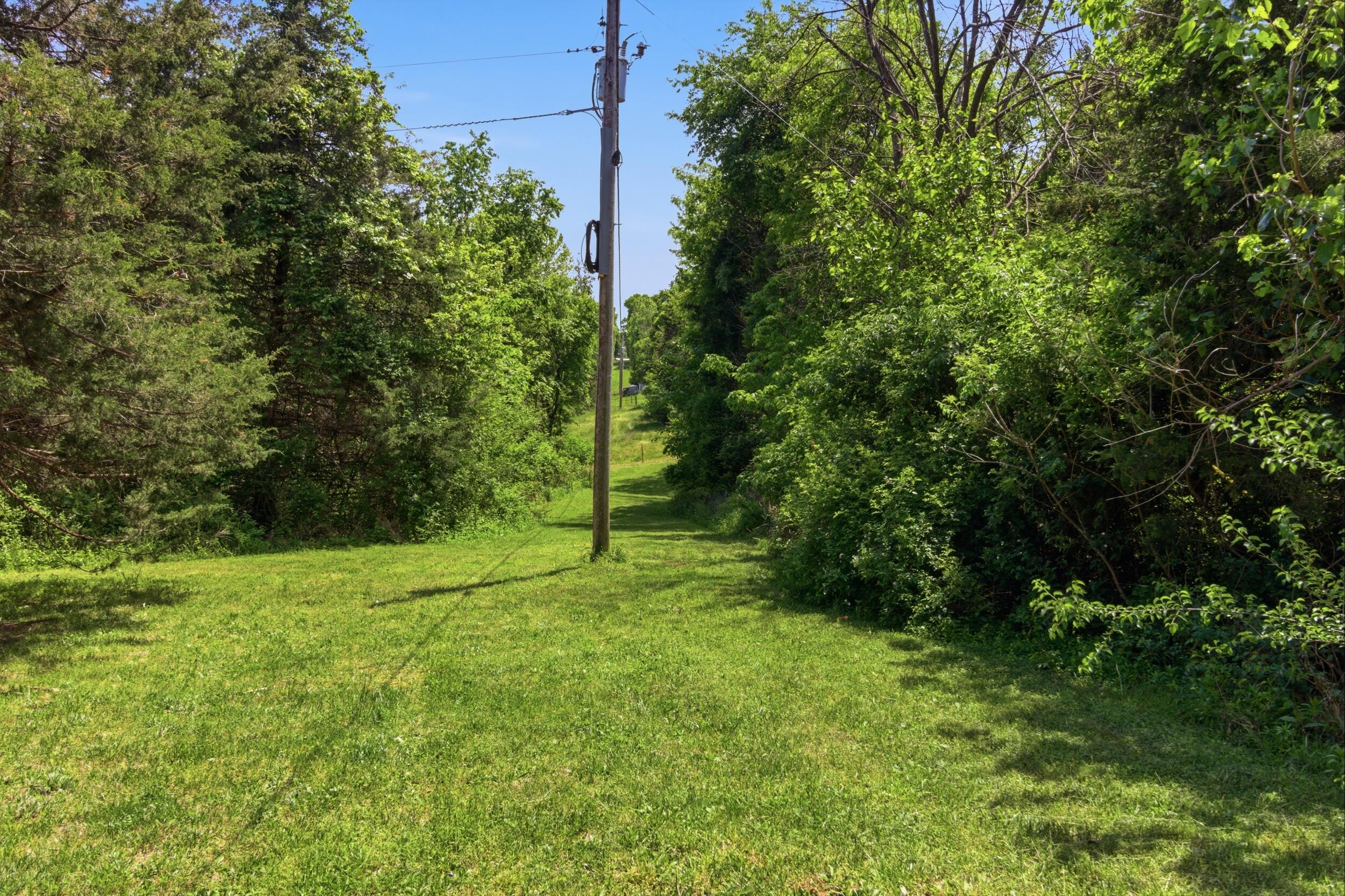 1426 Prairie Ridge Road Ozark, MO 65721 - Photo 42 of 51 img_0562