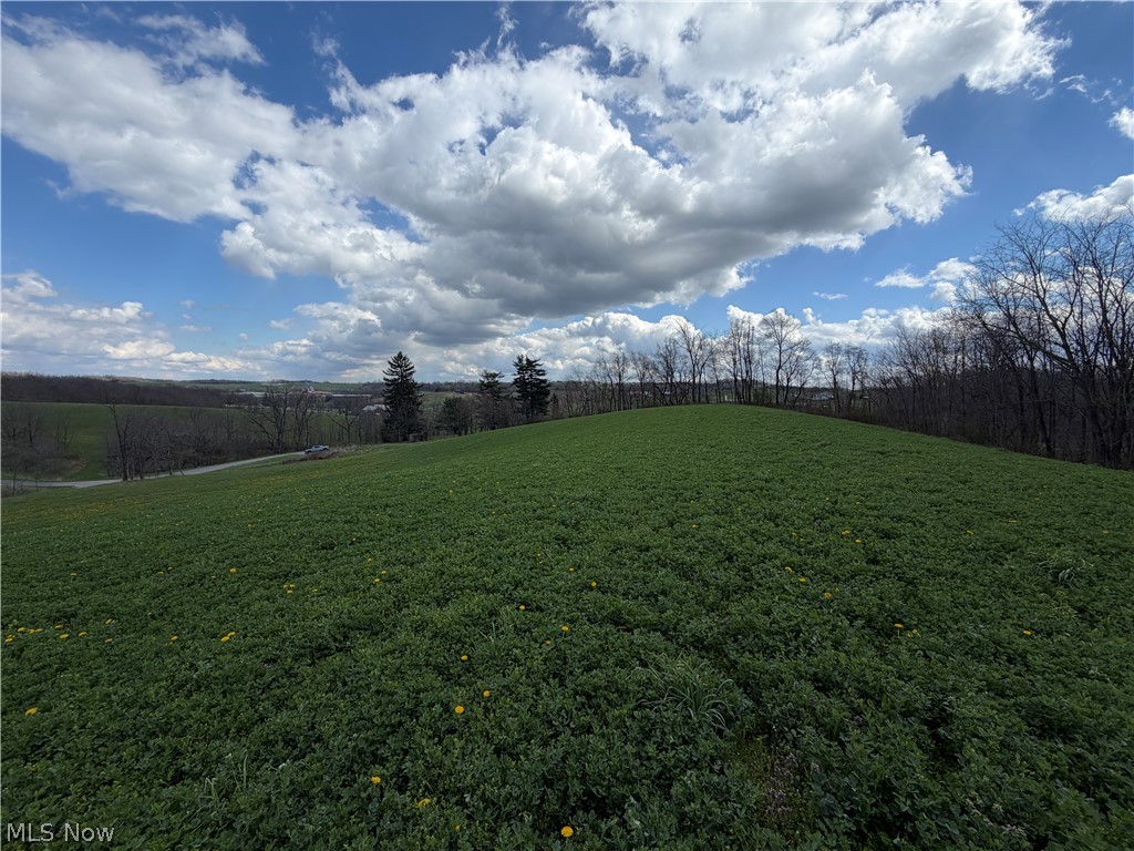 177 Township Road Baltic, OH 43804 - Photo 8 of 10 Gallery Image 8