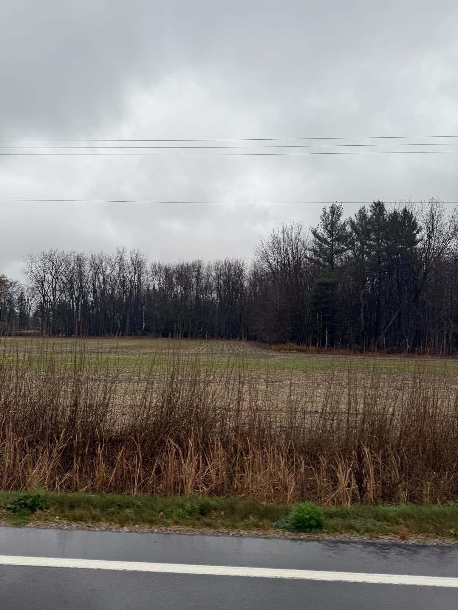 V/l South Sasse Road Hemlock, MI 48626 - Photo 1 of 8