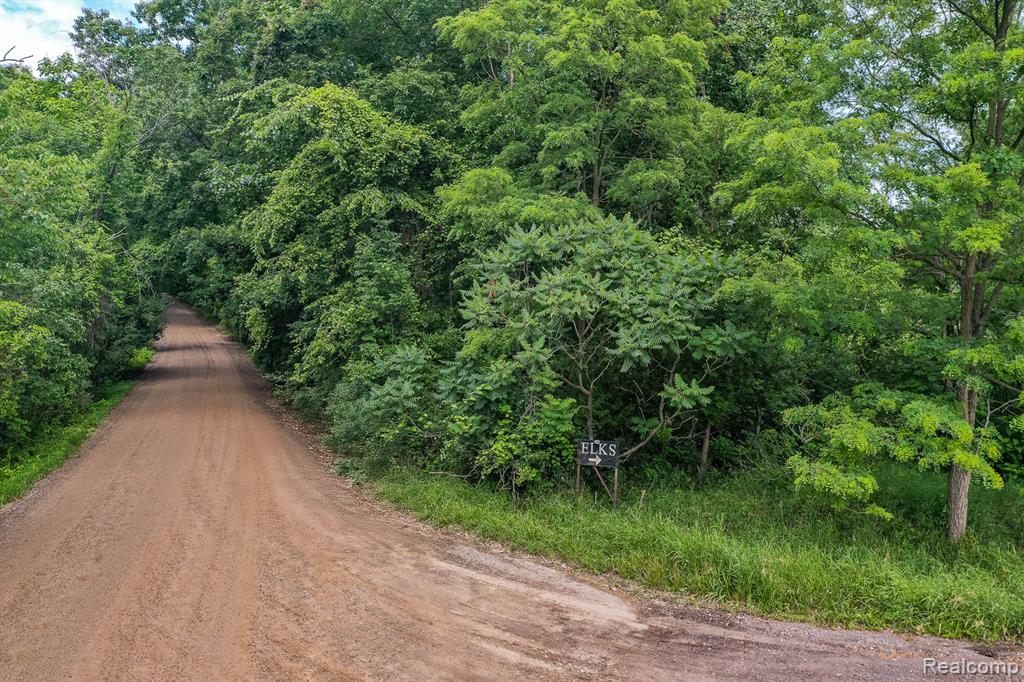 0 Pond Road Leonard, MI 48367 - Photo 2 of 9