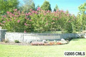 12502 Ridge Stone Court Pineville, NC 28134 - Photo 8 of 8