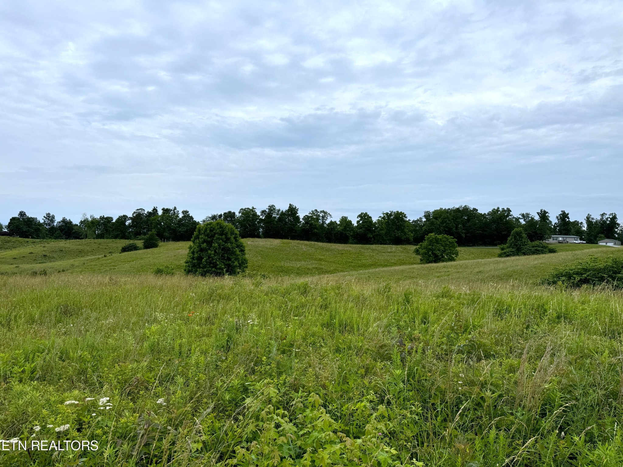9 Turner Hill Road Mosheim, TN 37818 - Photo 1 of 7 a view of outdoor space and yard