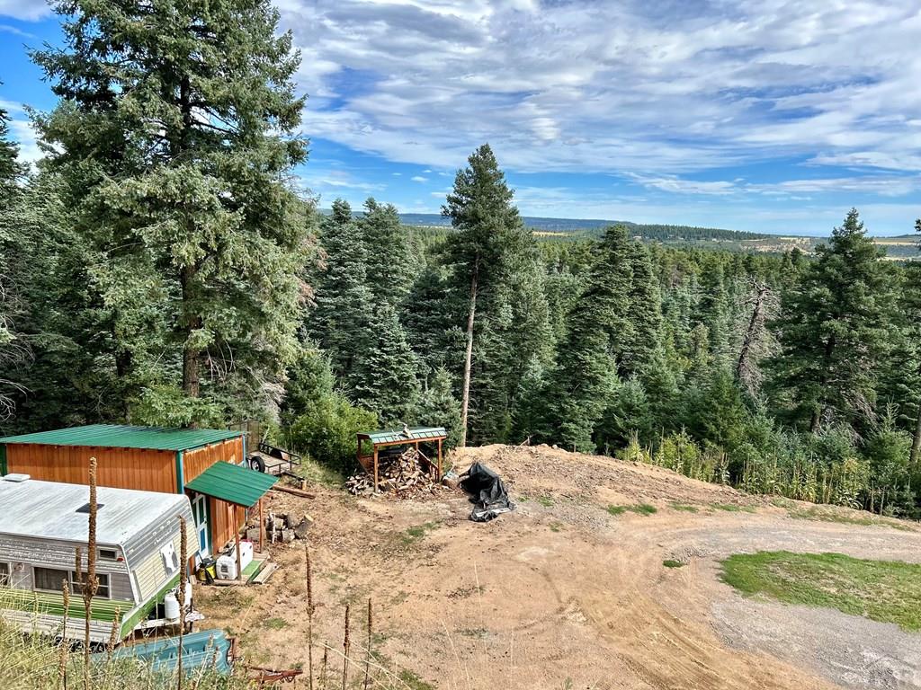 8294 William Drive Rye, CO 81069 - Photo 26 of 38