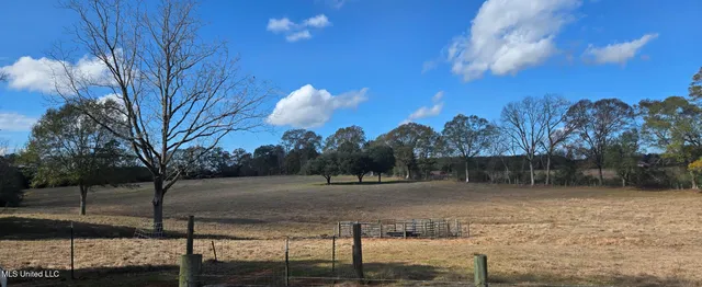 $64,900 | 199 Airline Highway, Tylertown, MS 39667