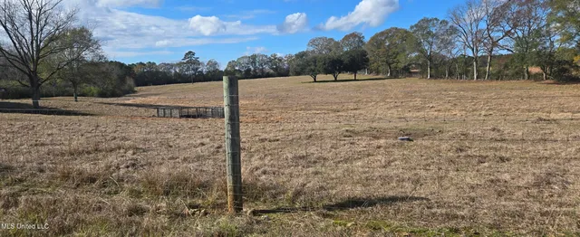 $64,900 | 199 Airline Highway, Tylertown, MS 39667