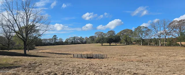 $64,900 | 199 Airline Highway, Tylertown, MS 39667