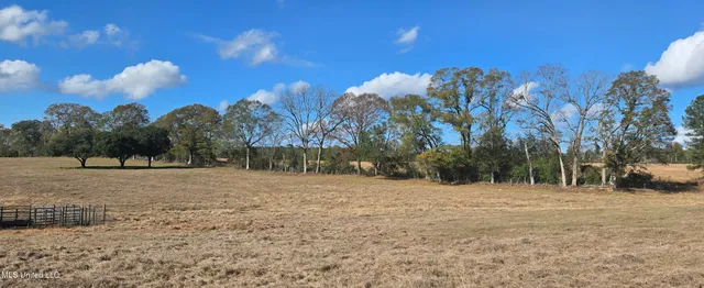 $64,900 | 199 Airline Highway, Tylertown, MS 39667