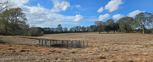 $64,900 | 199 Airline Highway, Tylertown, MS 39667