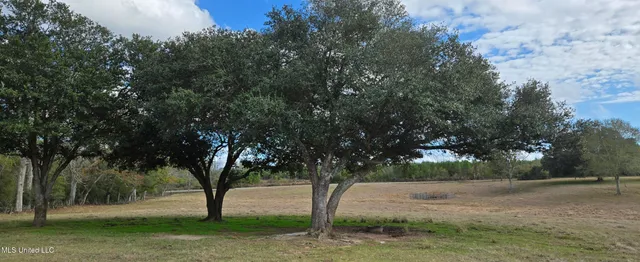 $64,900 | 199 Airline Highway, Tylertown, MS 39667