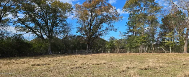 $64,900 | 199 Airline Highway, Tylertown, MS 39667