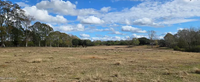 $64,900 | 199 Airline Highway, Tylertown, MS 39667