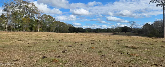 $64,900 | 199 Airline Highway, Tylertown, MS 39667