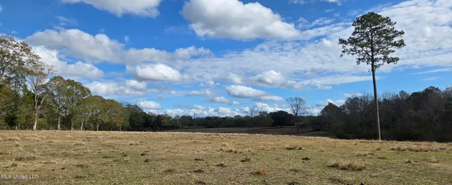 $64,900 | 199 Airline Highway, Tylertown, MS 39667