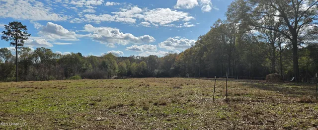 $64,900 | 199 Airline Highway, Tylertown, MS 39667