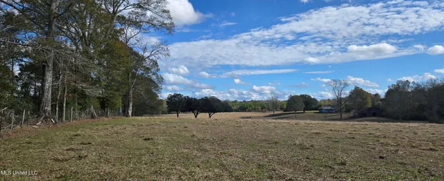 $64,900 | 199 Airline Highway, Tylertown, MS 39667