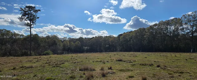 $64,900 | 199 Airline Highway, Tylertown, MS 39667