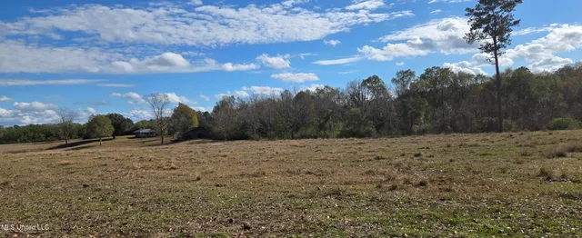 $64,900 | 199 Airline Highway, Tylertown, MS 39667