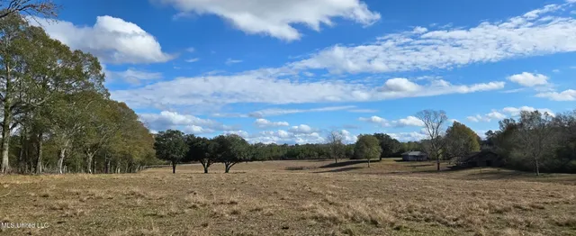 $64,900 | 199 Airline Highway, Tylertown, MS 39667